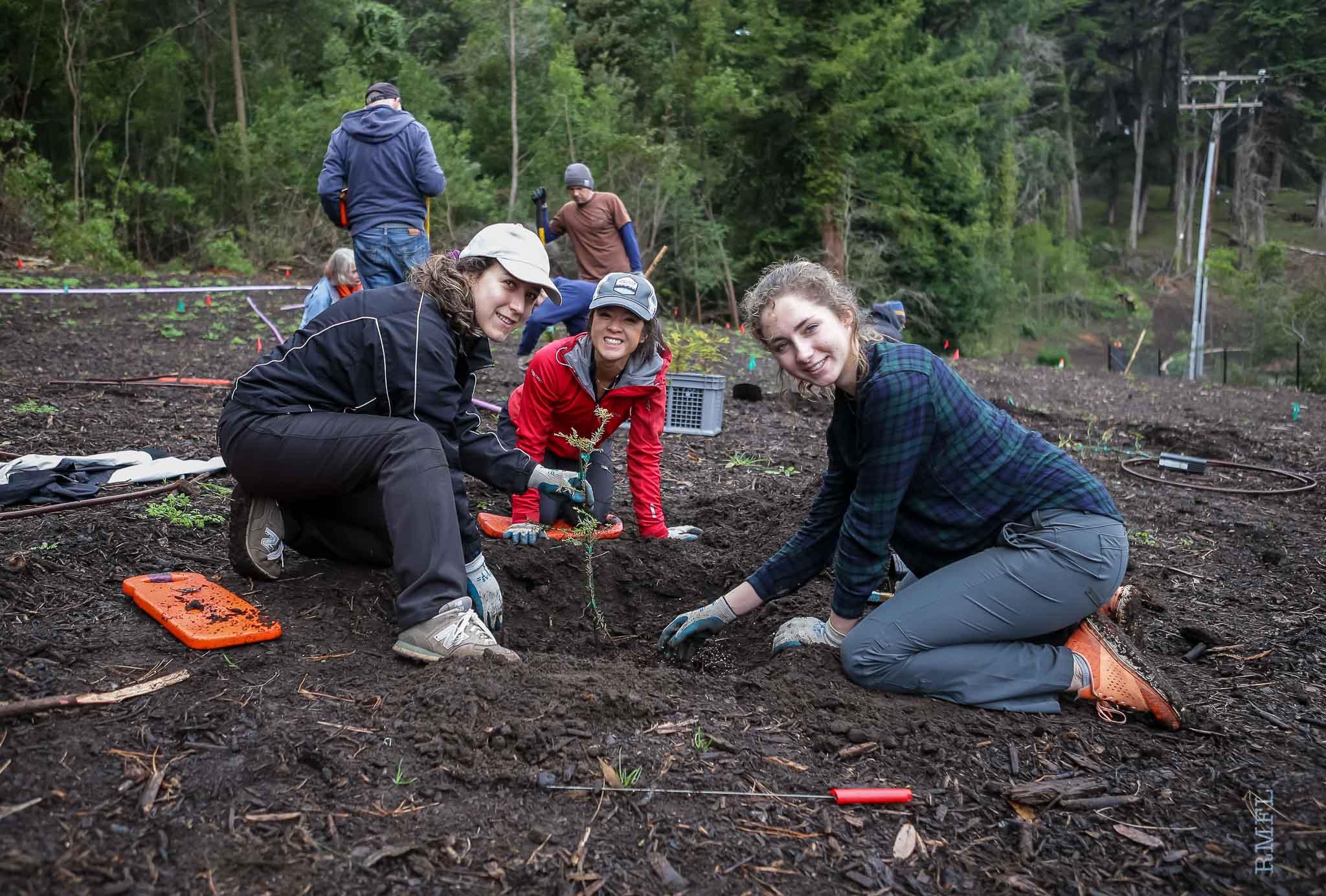 Trio of volunteers planting in ground