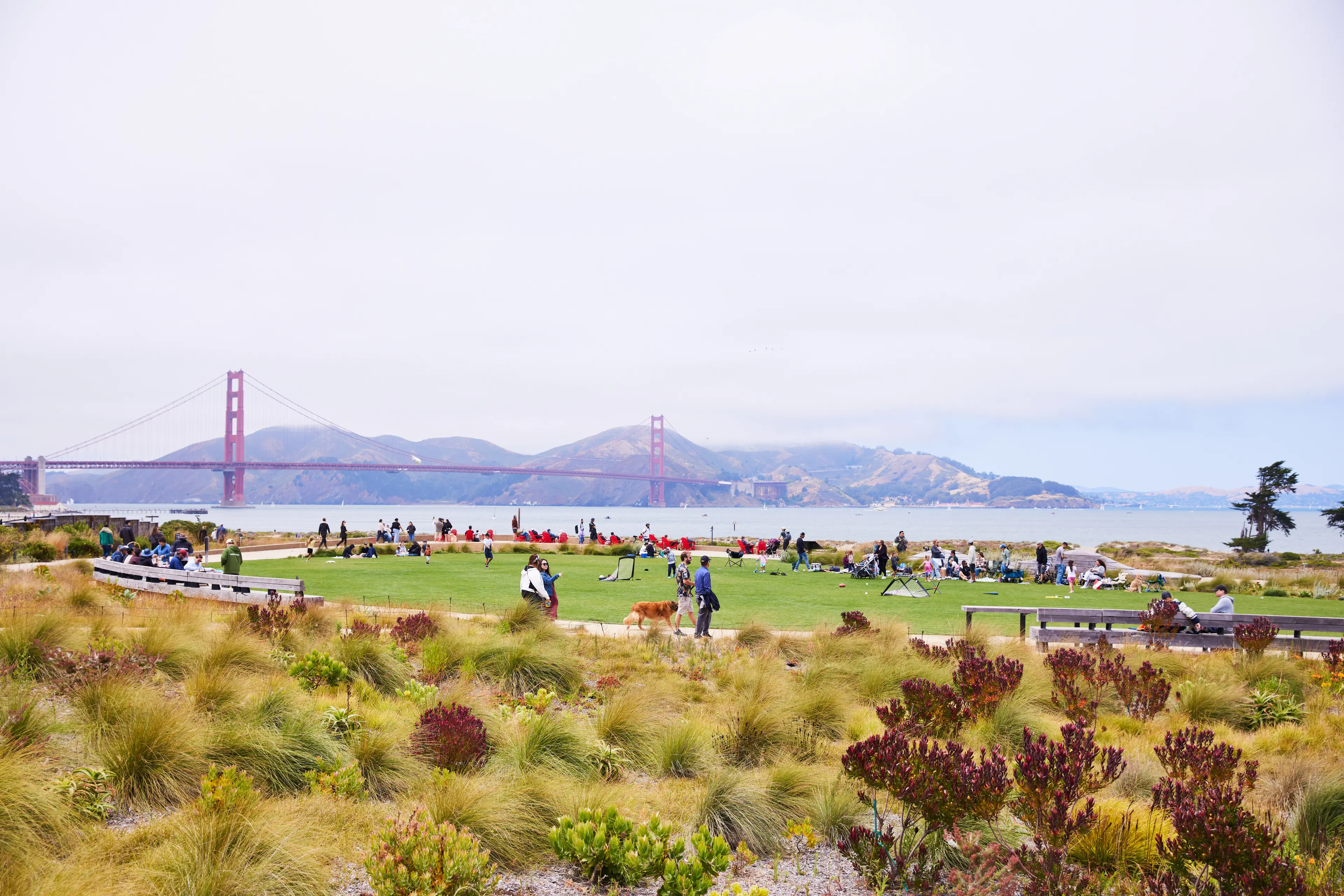 Visitors at Presidio Tunnel Tops