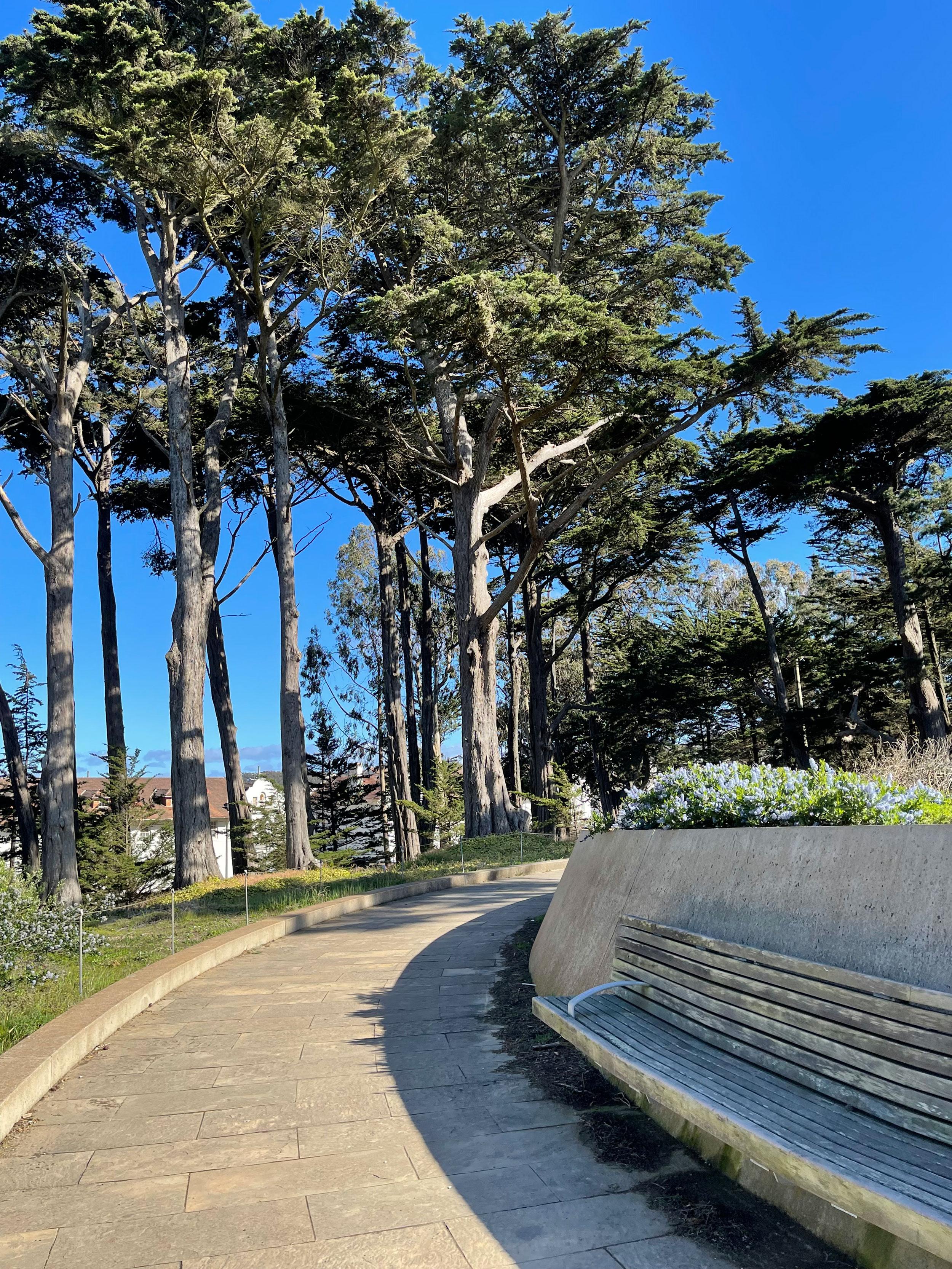 Bench seating at Golden Gate Overlook.