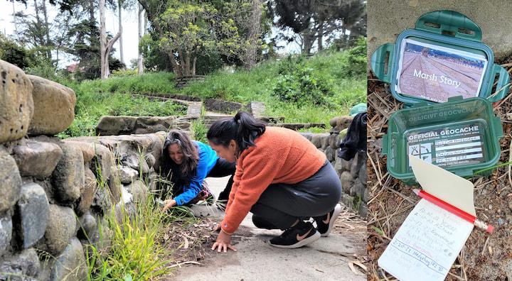 Two women search for a geochache box in the Presidio.