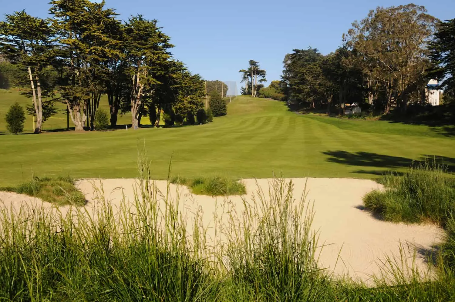 Presidio Golf Course fairway with bunkers.