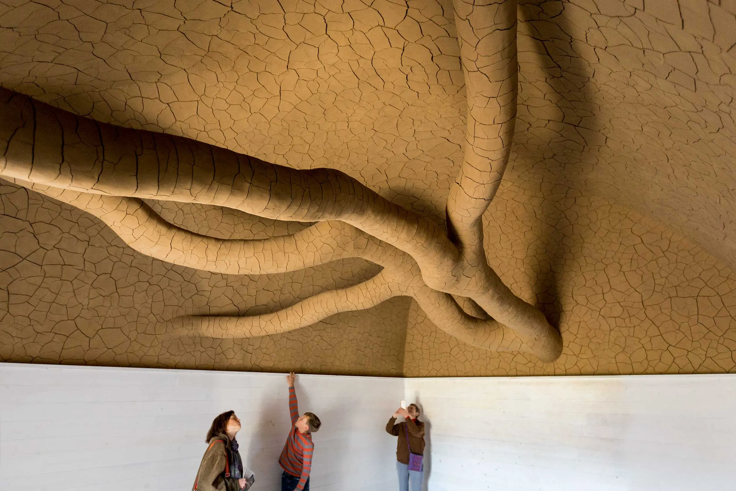 Three visitors standing underneath Andy Goldsworthy’s Tree Fall at the Presidio of San Francisco. Photo by Charity Vargas.