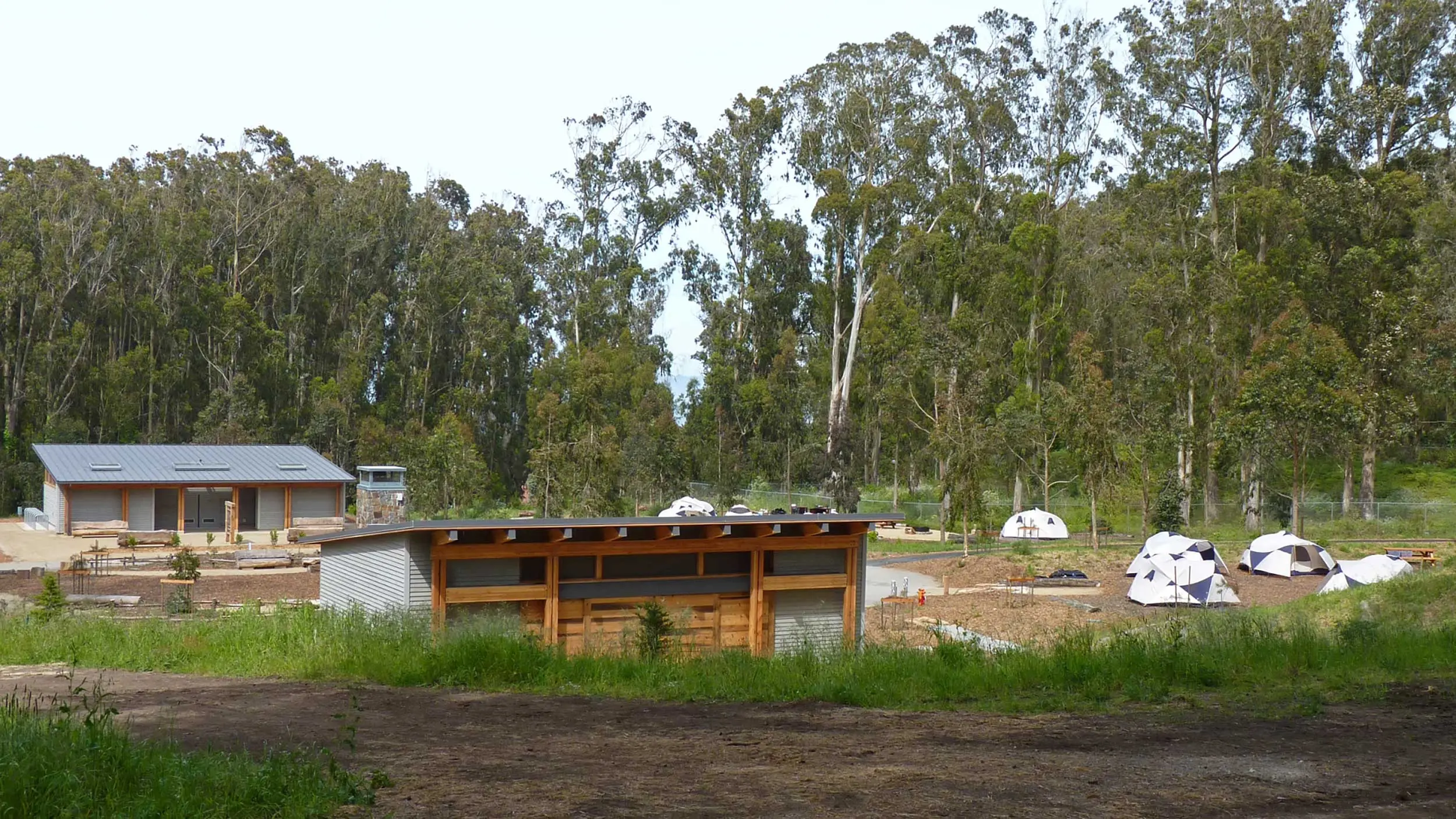 Rob Hill Campground, with tents. Photo by Greg Archibald.