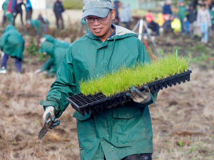 Staff member carries a tray of native plants. Photo by Dan Friedman.