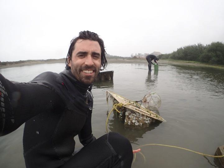 Staff member monitoring the oyster population at Quartermaster Reach Marsh.