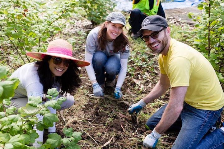 Three people doing habitat restoration at the Presidio.