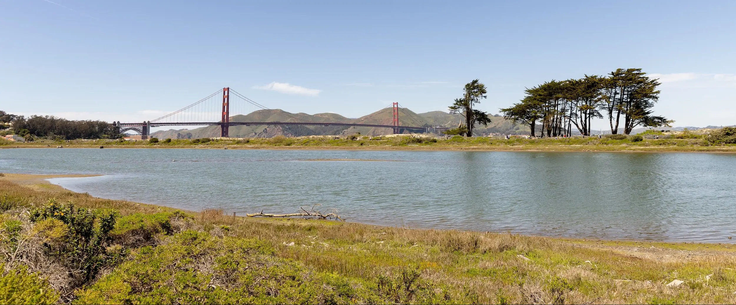 Crissy Marsh with the Golden Gate Bridge.