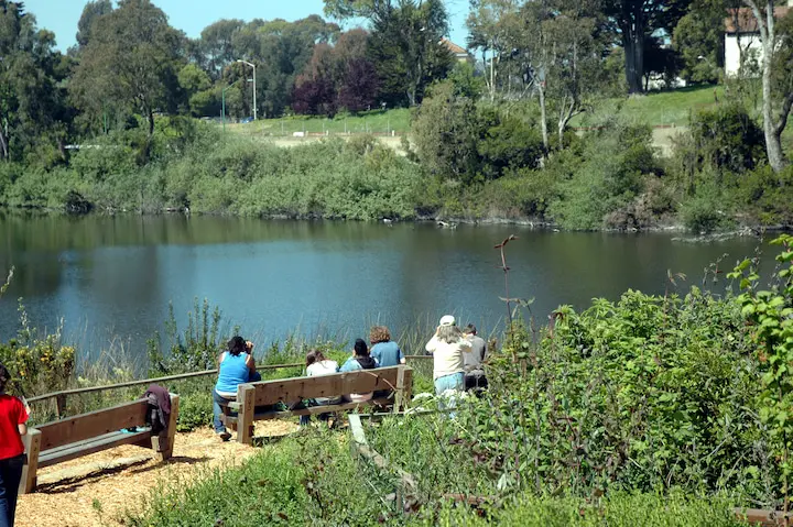 Mountain Lake in the Presidio.