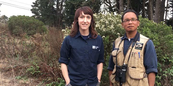 Discovery: Seven Signs of Fall in the Presidio