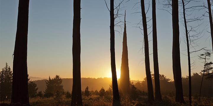 Sunrise and Andy Goldsworthy's Spire