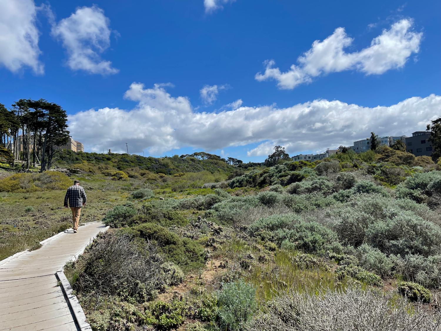 A woman in a red jacket walks on Lobos Creek Valley Trail.