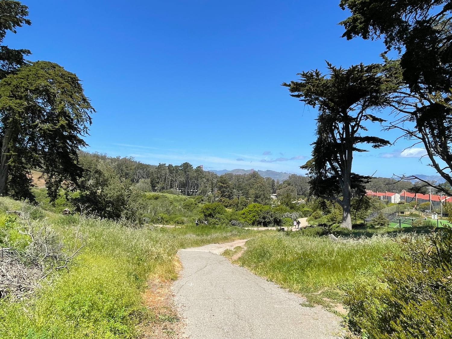 Mountain Lake Trail near Paul Goode Field in the Presidio.