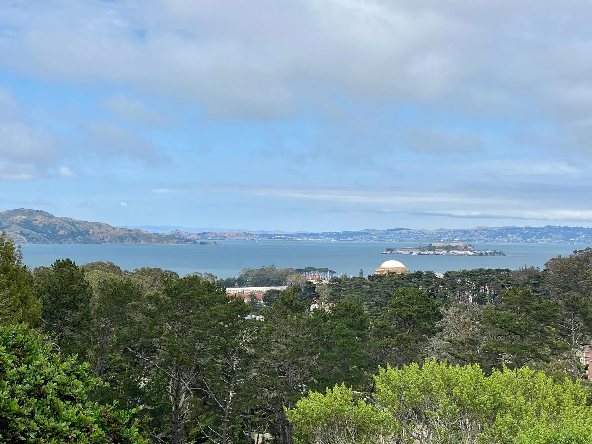 Ecology Trail - The Presidio (San Francisco)