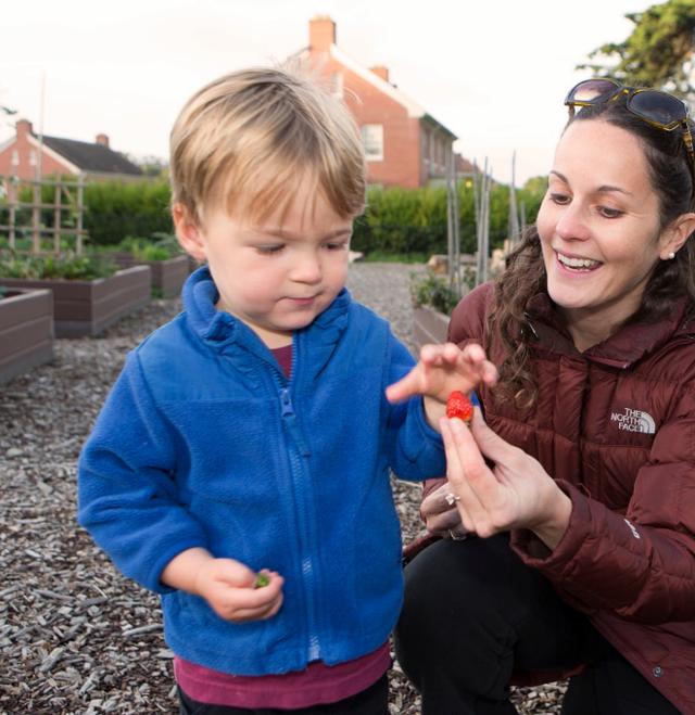 Apartments for Rent Houses for Rent The Presidio (San Francisco)