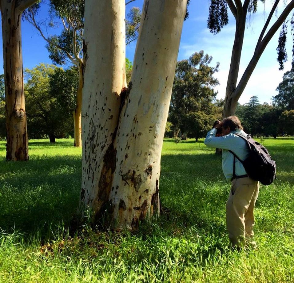 Peter photographing a tree.