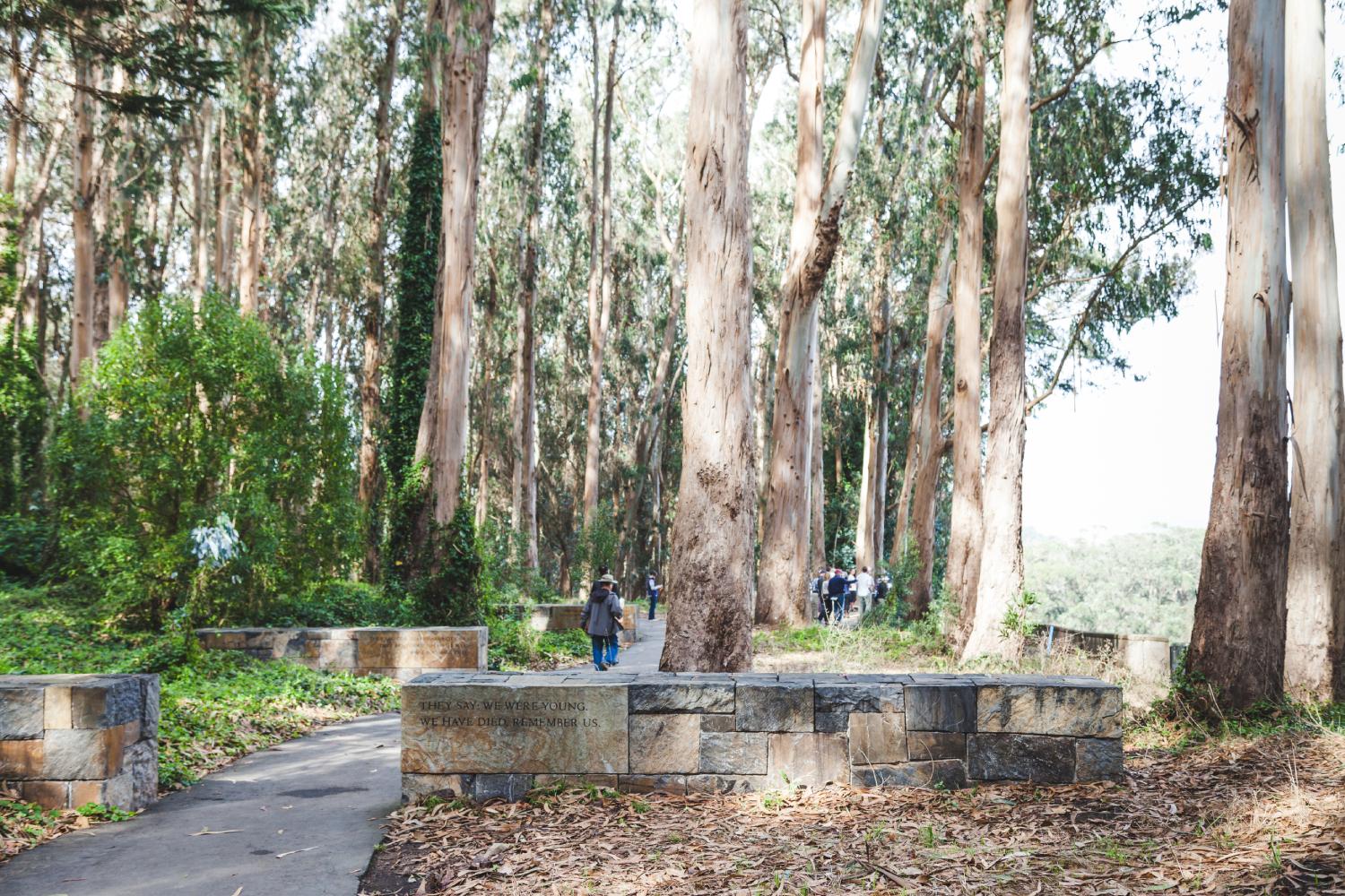 National Cemetery Overlook with eucalyptus trees.