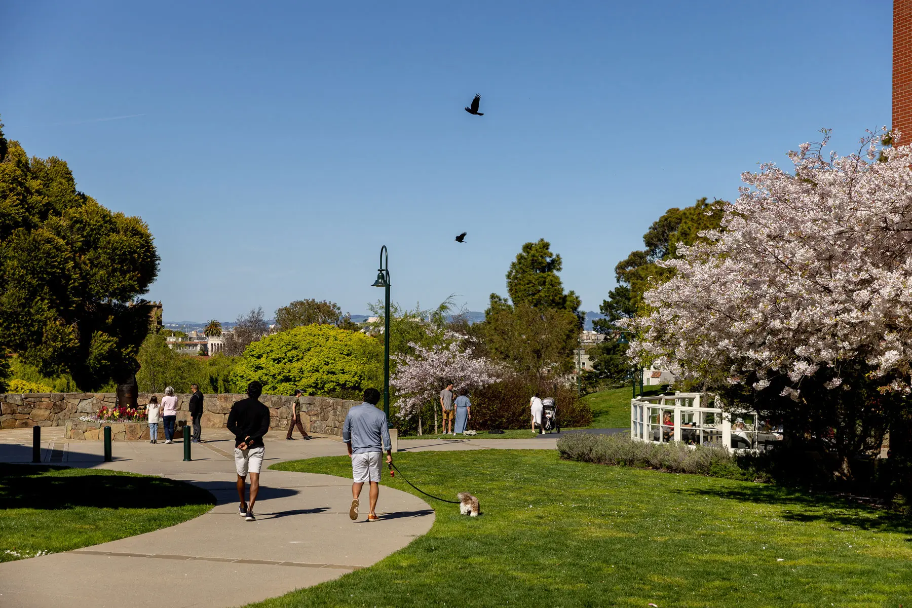 Two men walk with a dog on the Presidio Promenade trail.