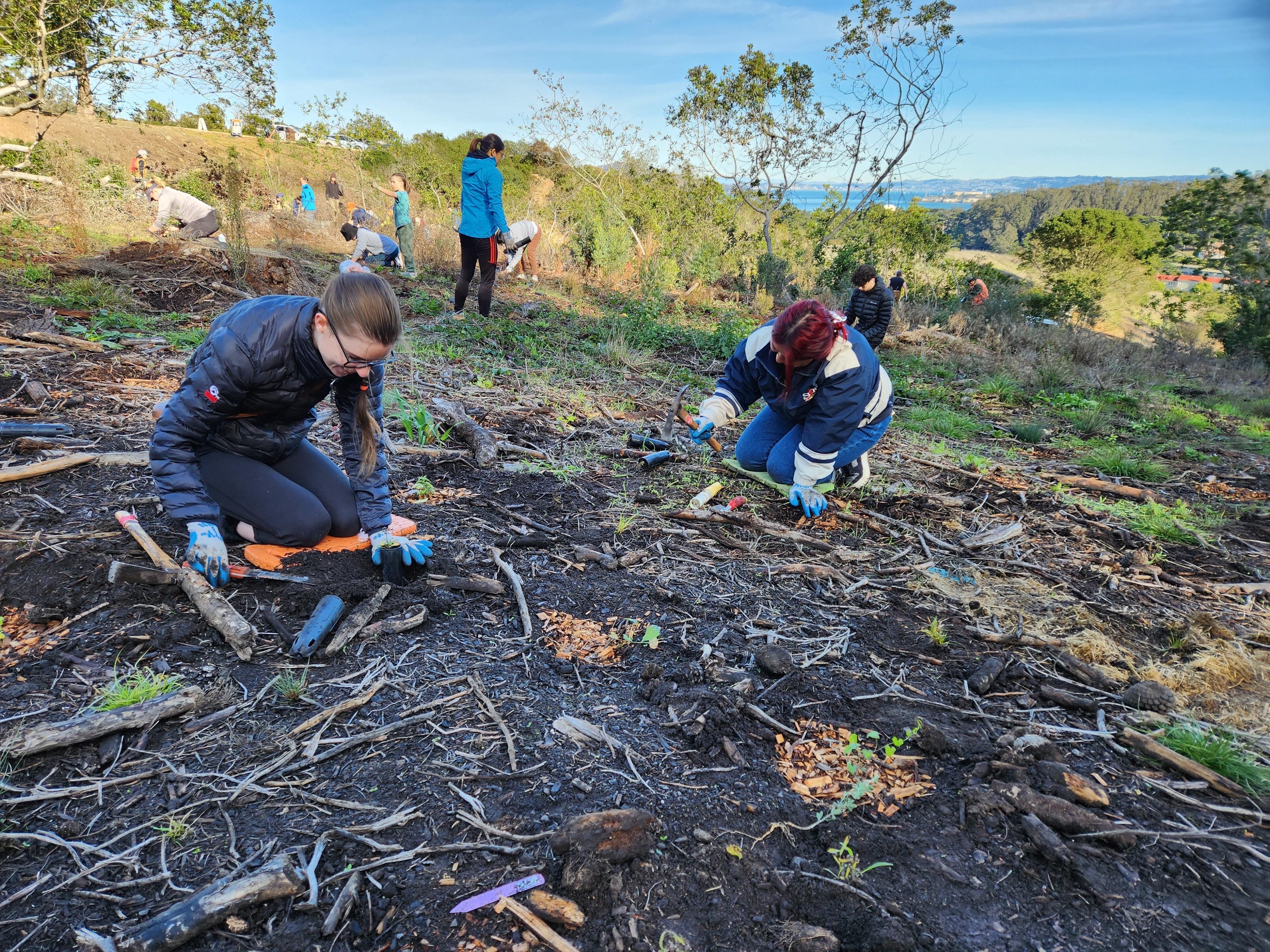 Group of Volunteers on National Planting Day at Inspiration Point