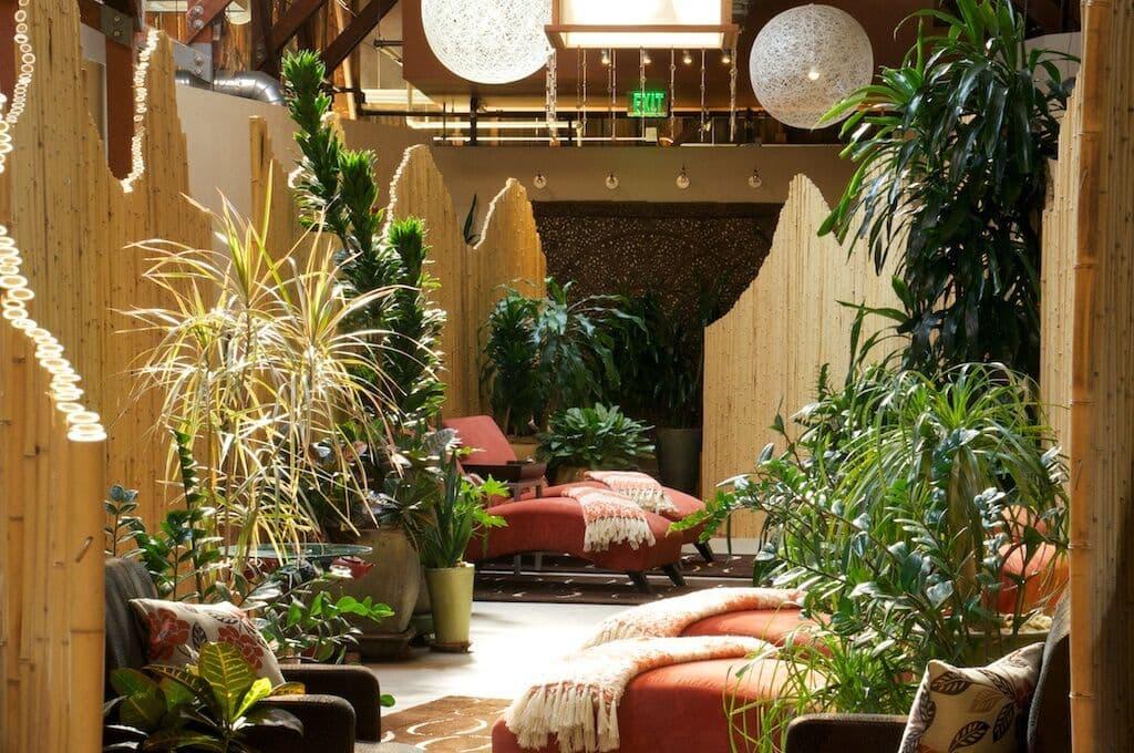 the interior of Senspa with lounging chairs and lush plants.