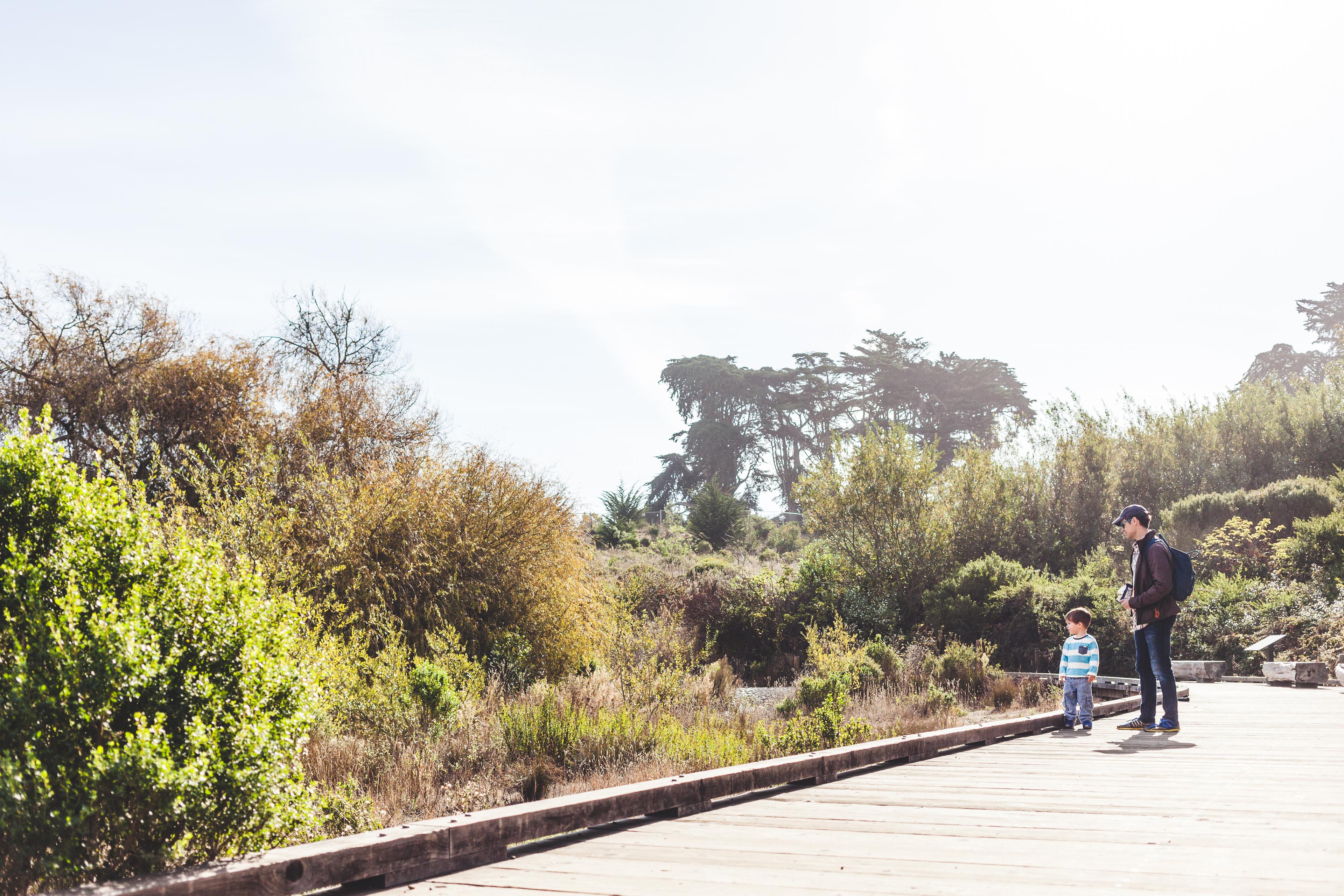 Father and child walking along path in Presidio