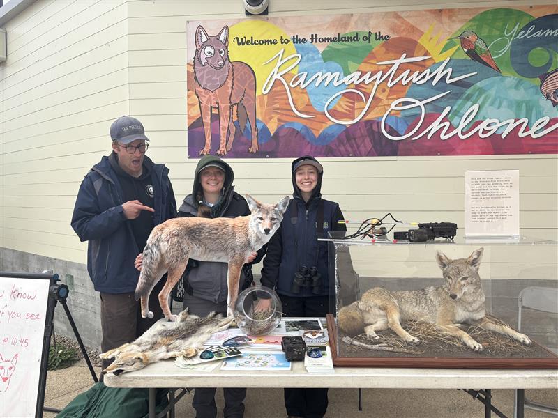 three Trust Staff members tabling with stuffed coyotes