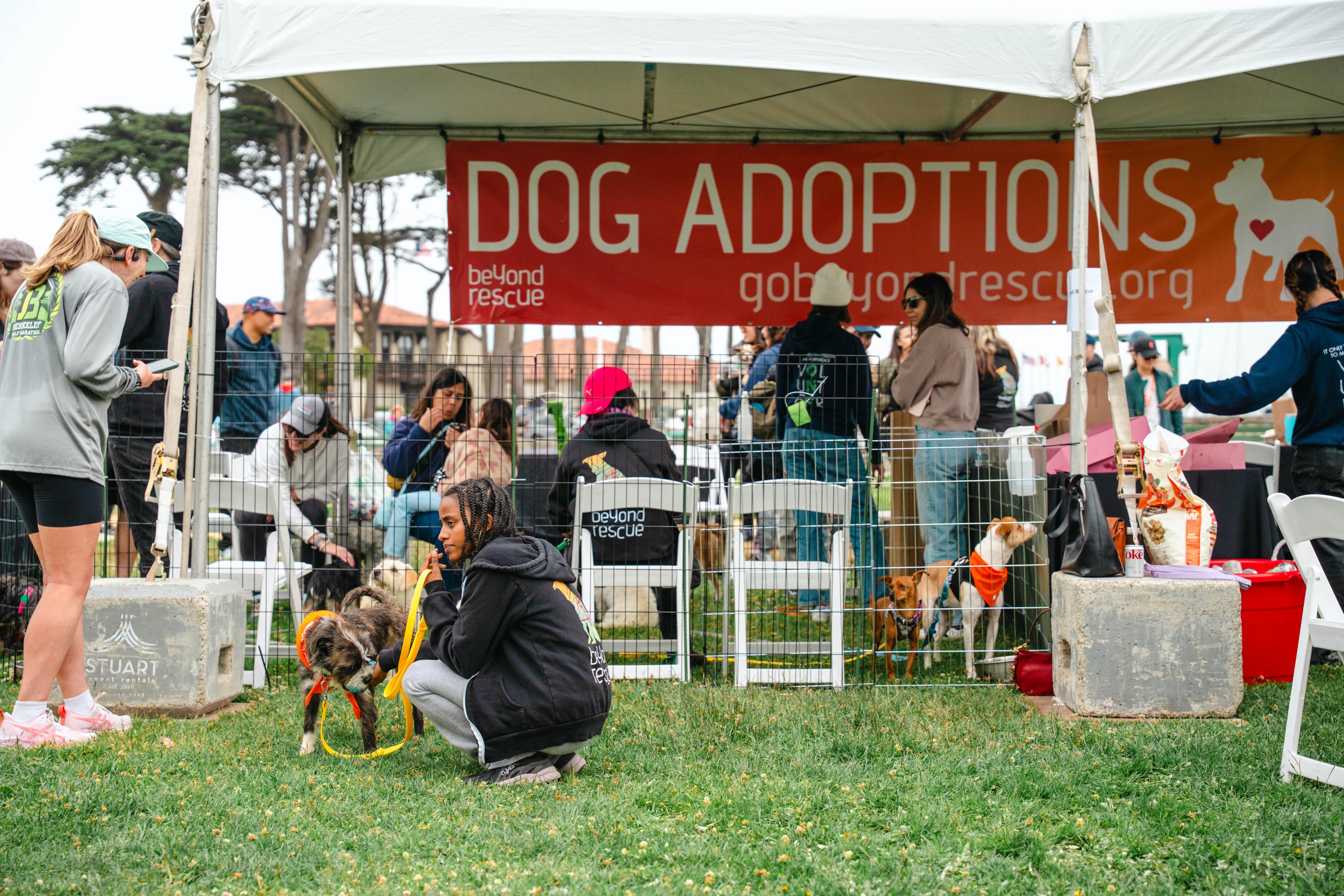 Group of people and pets at a pet adoption tent