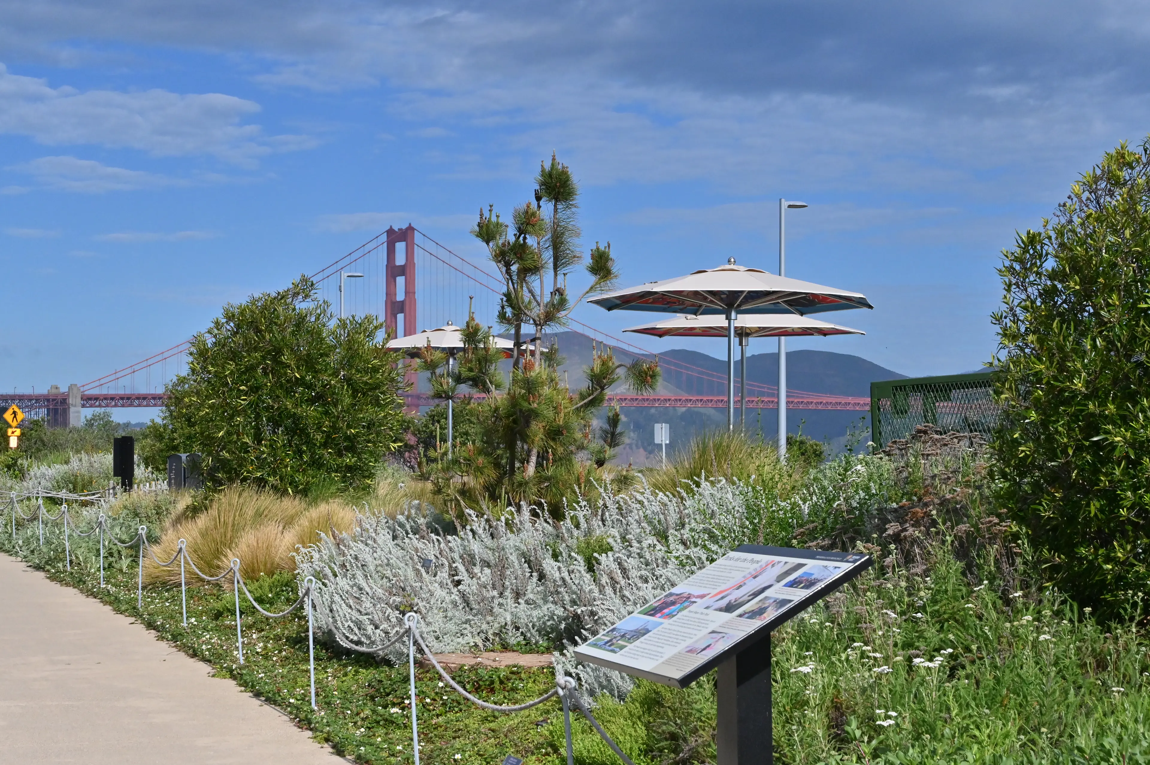 Umbrella with artwork on the underside with the Golden Gate Bridge in the background