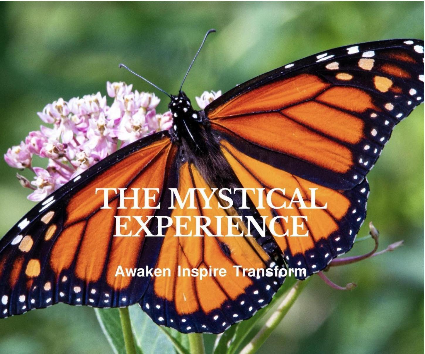 Butterfly with text over it's wings