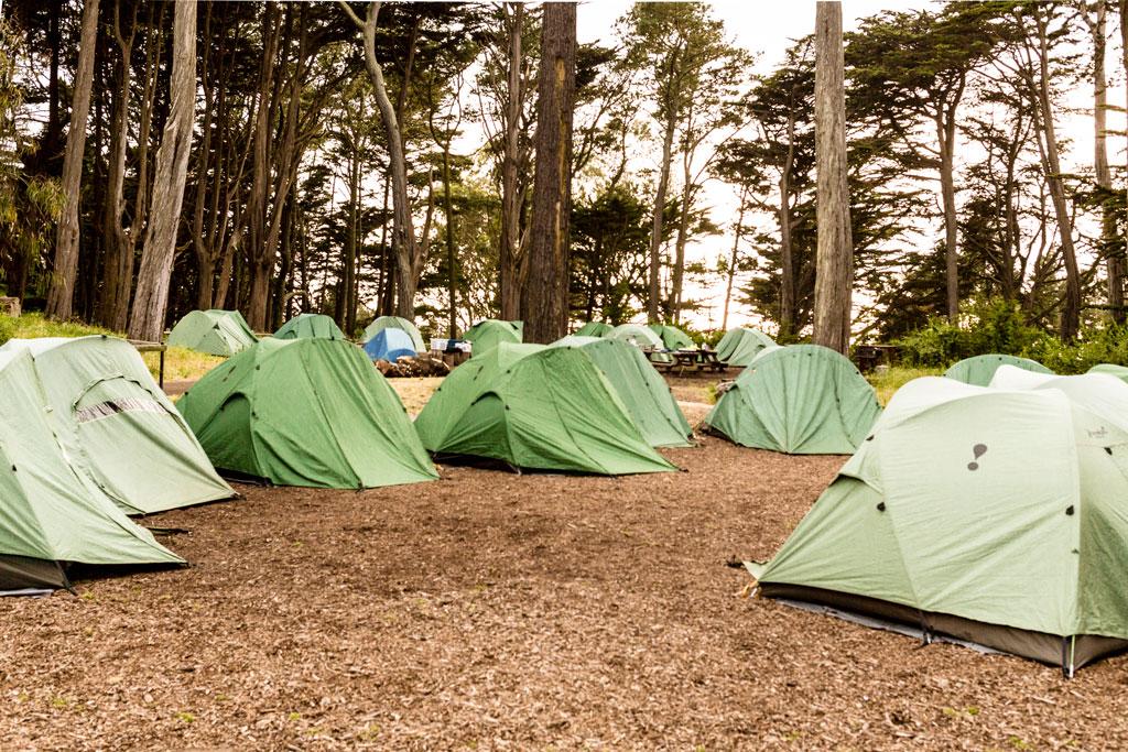 Green tents set-up on campground between tall trees