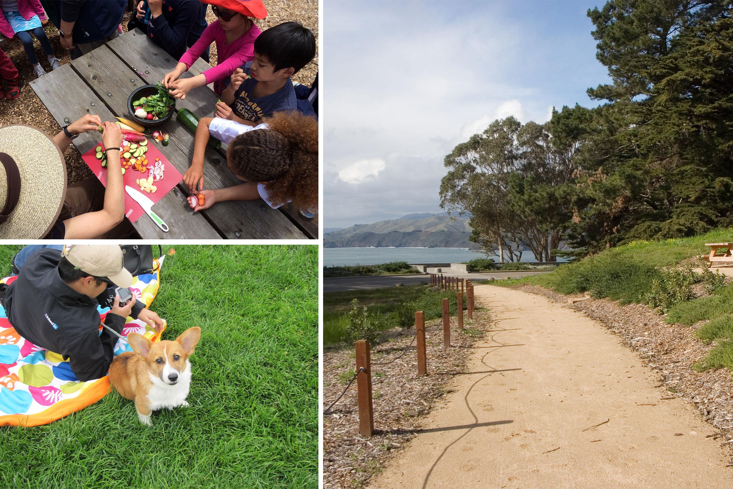 Top left: adult slicing vegetables for group of kids to snack. Bottom left: man with corgi on picnic blanket on lawn. Right: trail path with picnic tables on the right