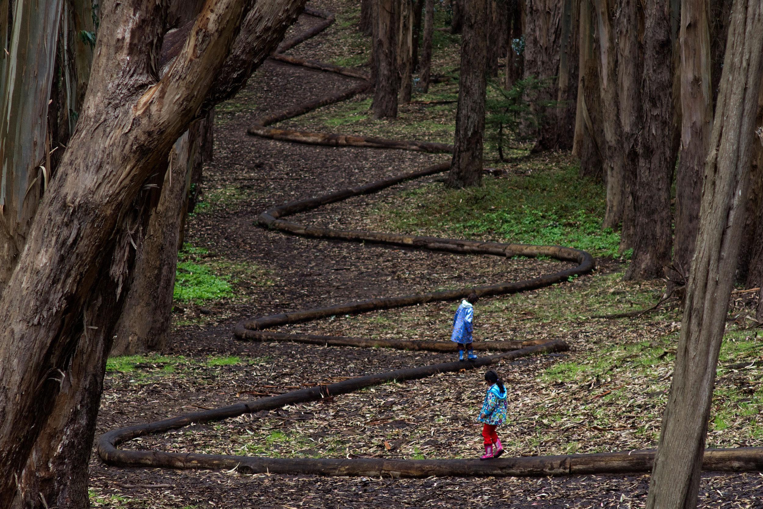 A couple kids in rainwear walking on Wood Line between tall trees