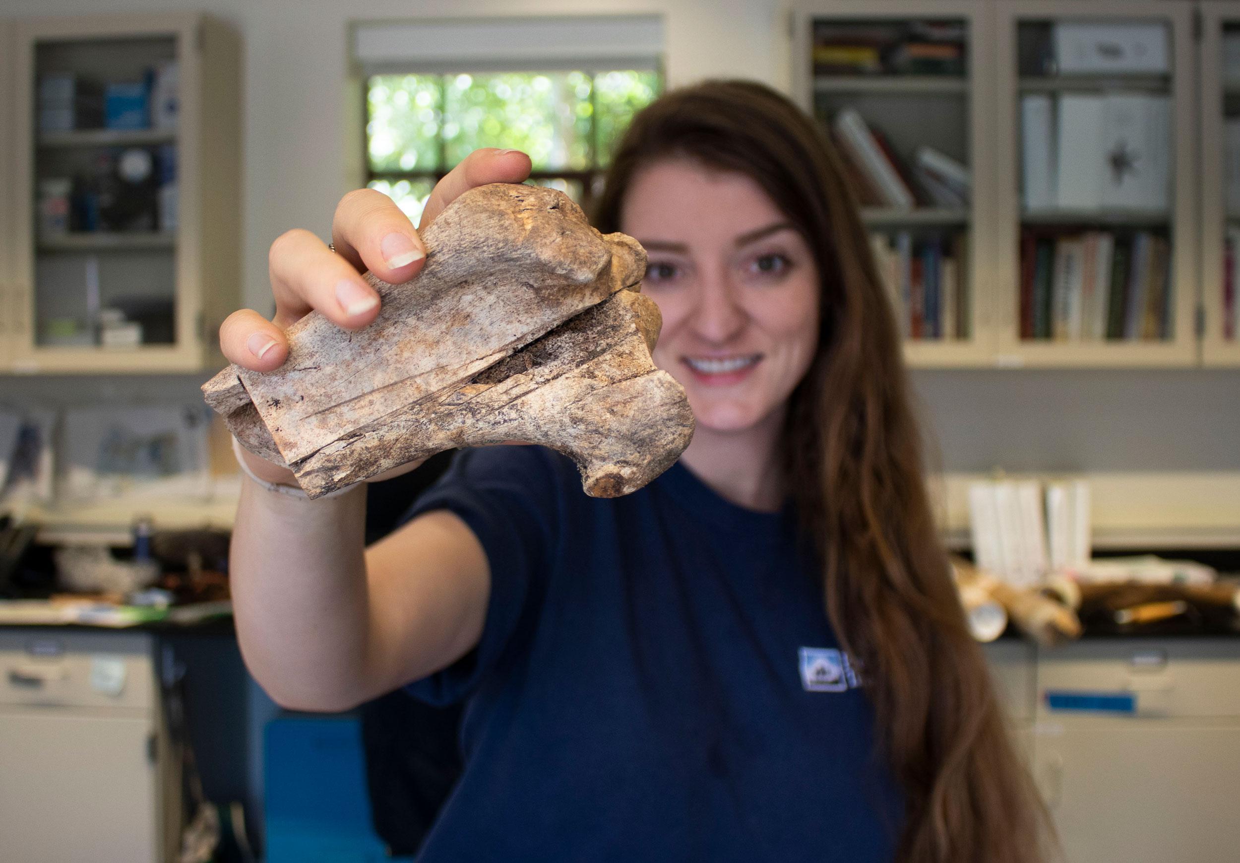 Archaeological Specialist Georgie DeAntoni holding up a cow bone artifact