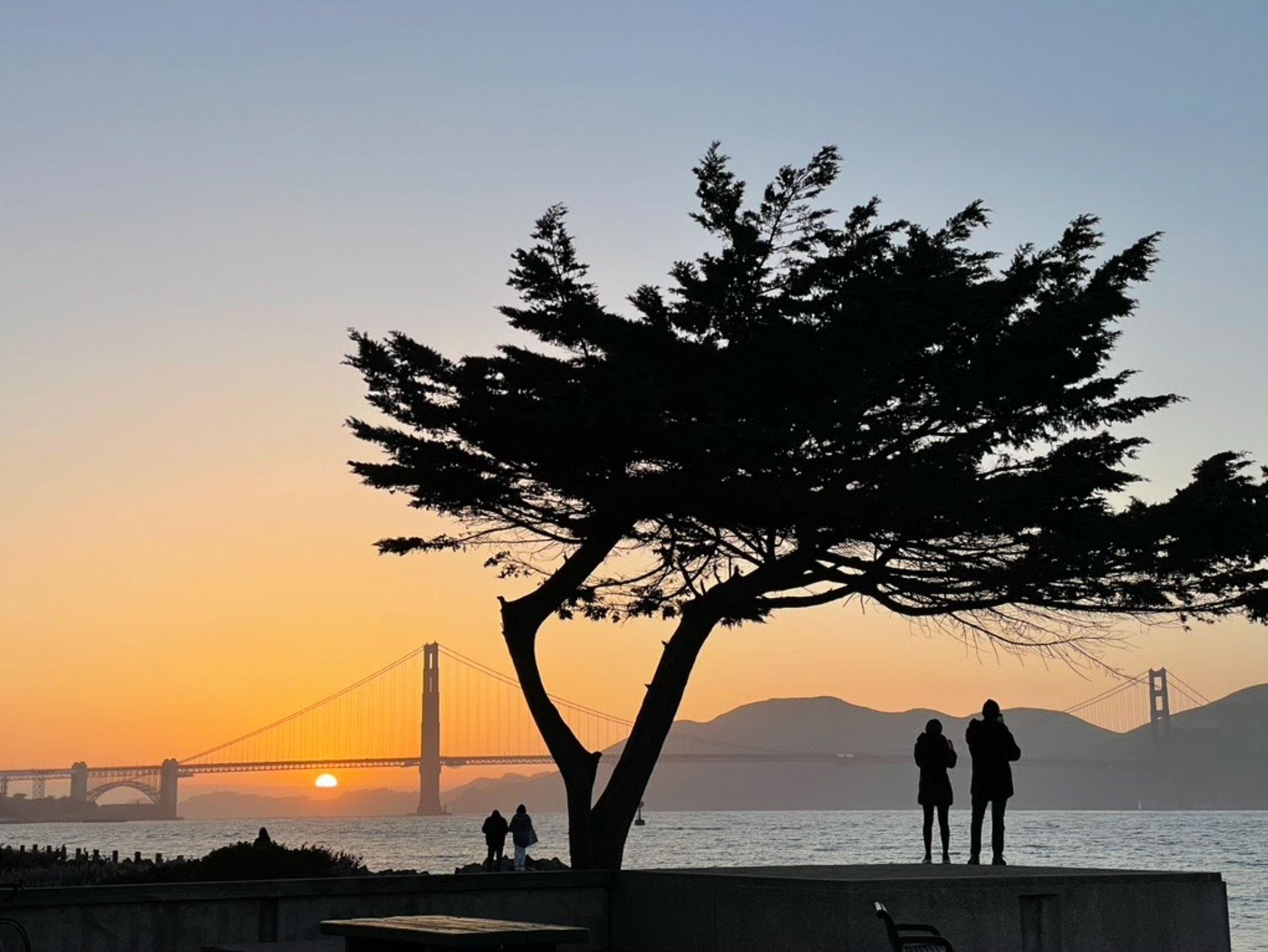 Visitors next to tree with Golden Gate Bridge view at sunset