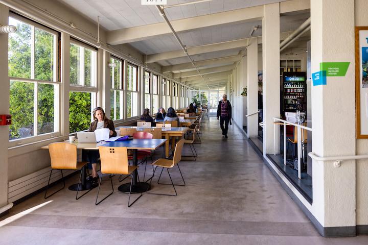 Customers dining at the Café Rx restaurant in the Tides Converge campus in the Presidio.