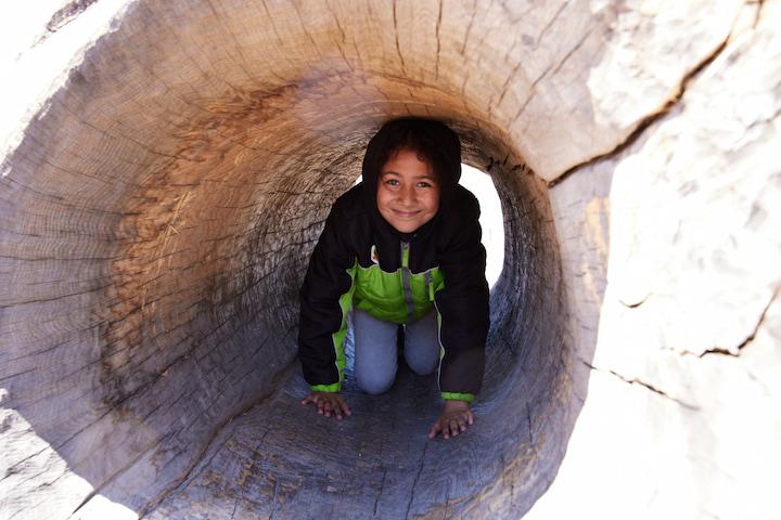 A girl climbs through a tree trunk at Presidio Tunnel Tops. Photo by Rachel Styer.