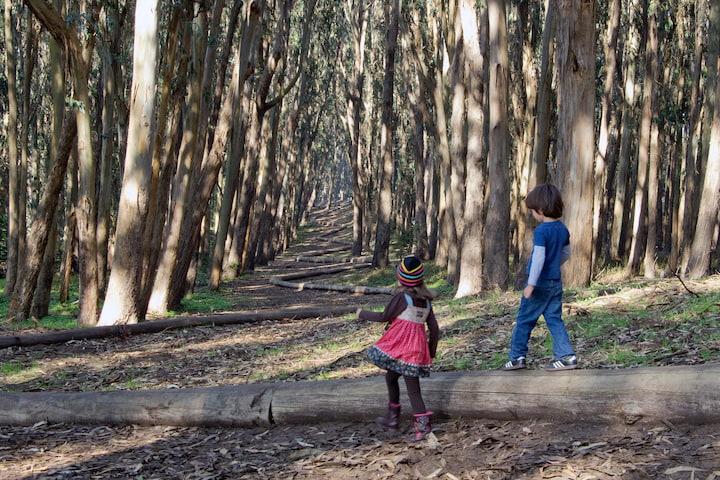 Two children walking on top of Wood Line. Photo by Brian Vahey.