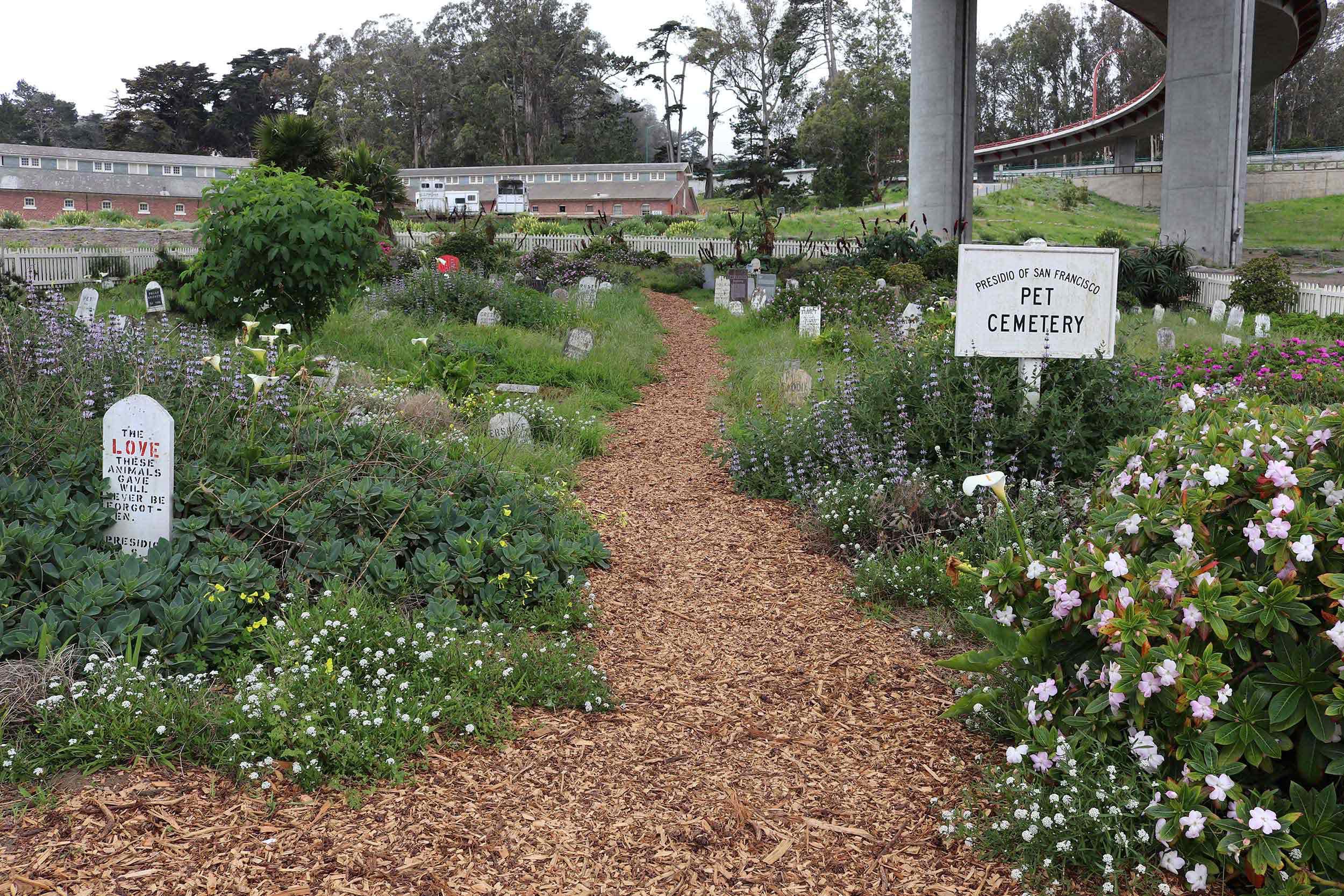 Presidio Pet Cemetery, with a path and gravestones visible.