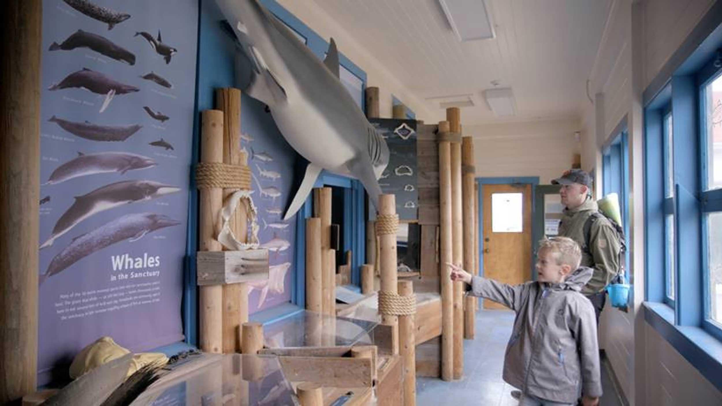 A man and boy look at exhibits at the Farallones Visitor Center. Photo by Blue Cadet.