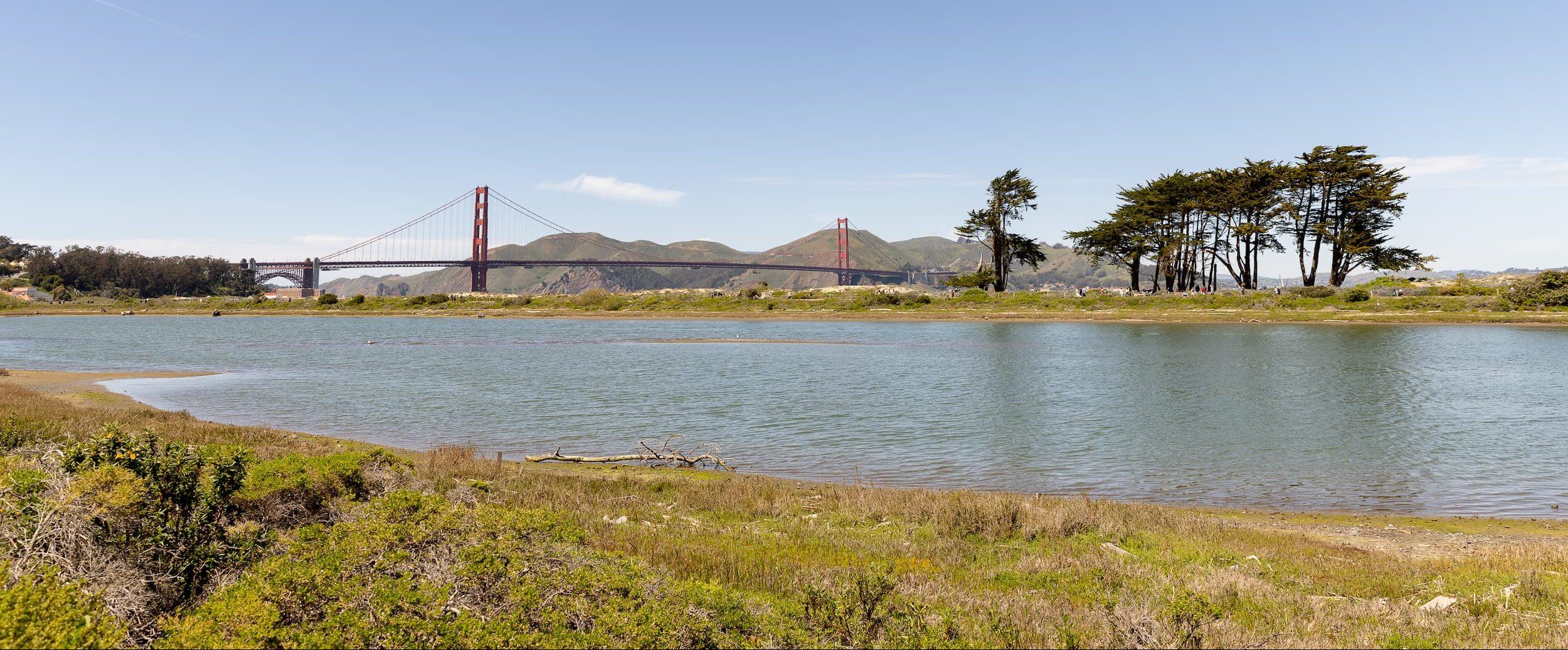 Crissy Marsh with the Golden Gate Bridge.