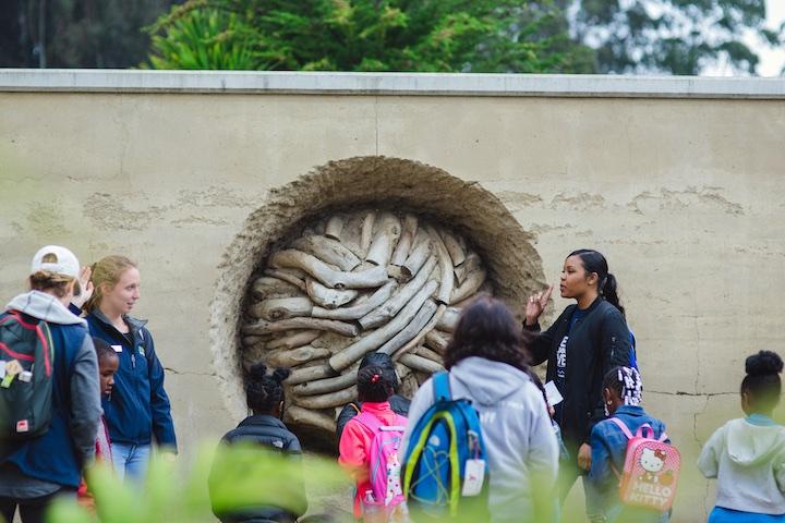 A group of students and teachers stand in front of Andy Goldsworthy’s Earth Wall at the Presidio Officers’ Club. Photo by Erin Conger.