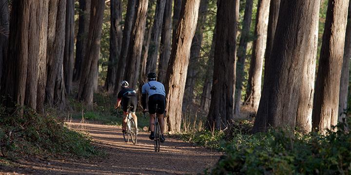 Bikers on Presidio trail