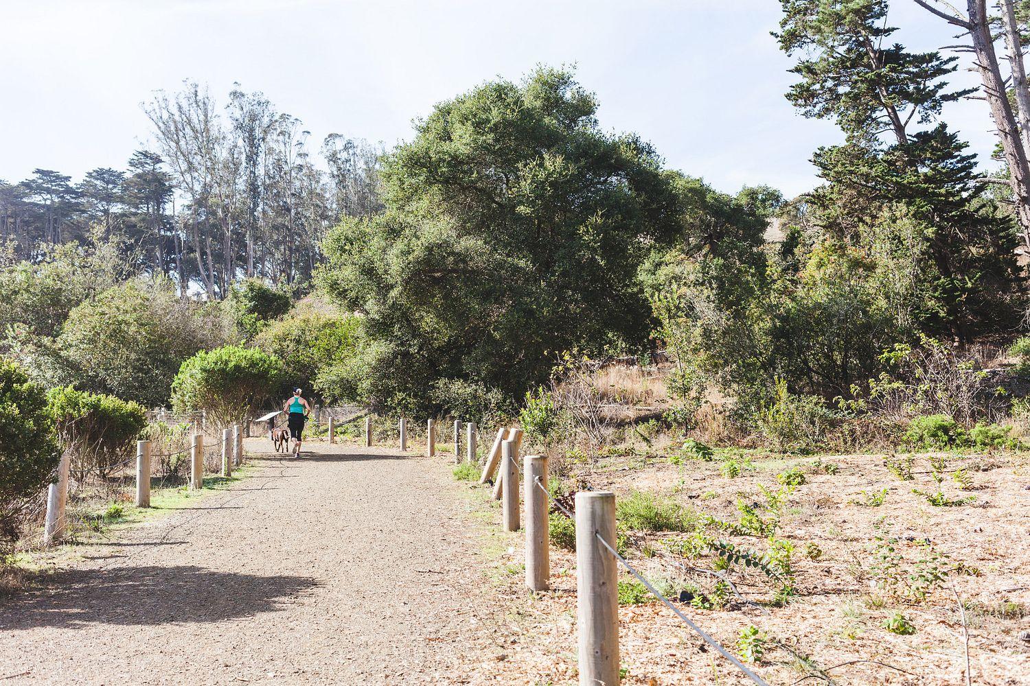 Unpaved trail with barriers and a woman in a turquoise tank top running with their dog at El Polin Spring.
