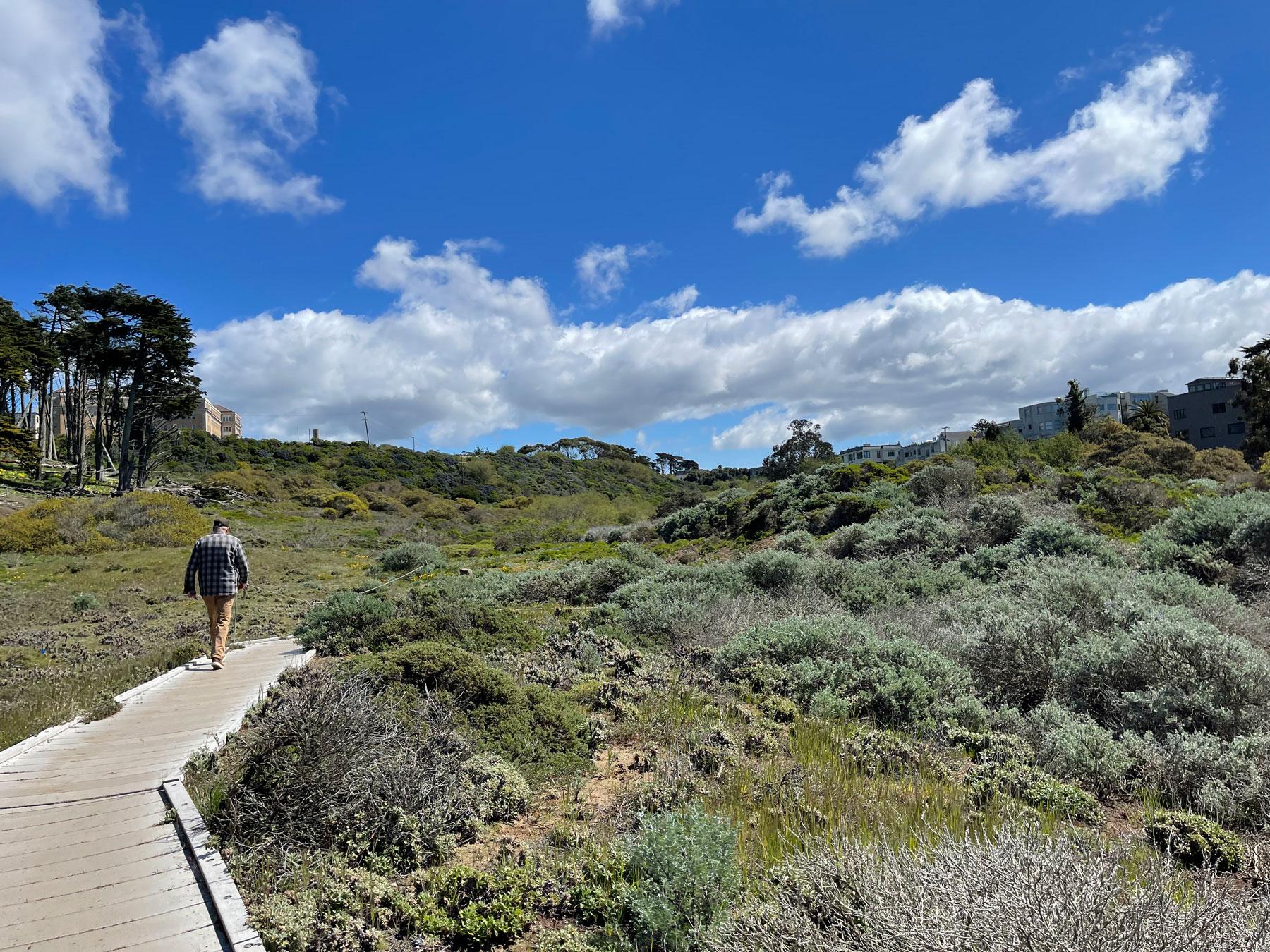 Man walking on the Lobos Creek Valley Trail boardwalk.