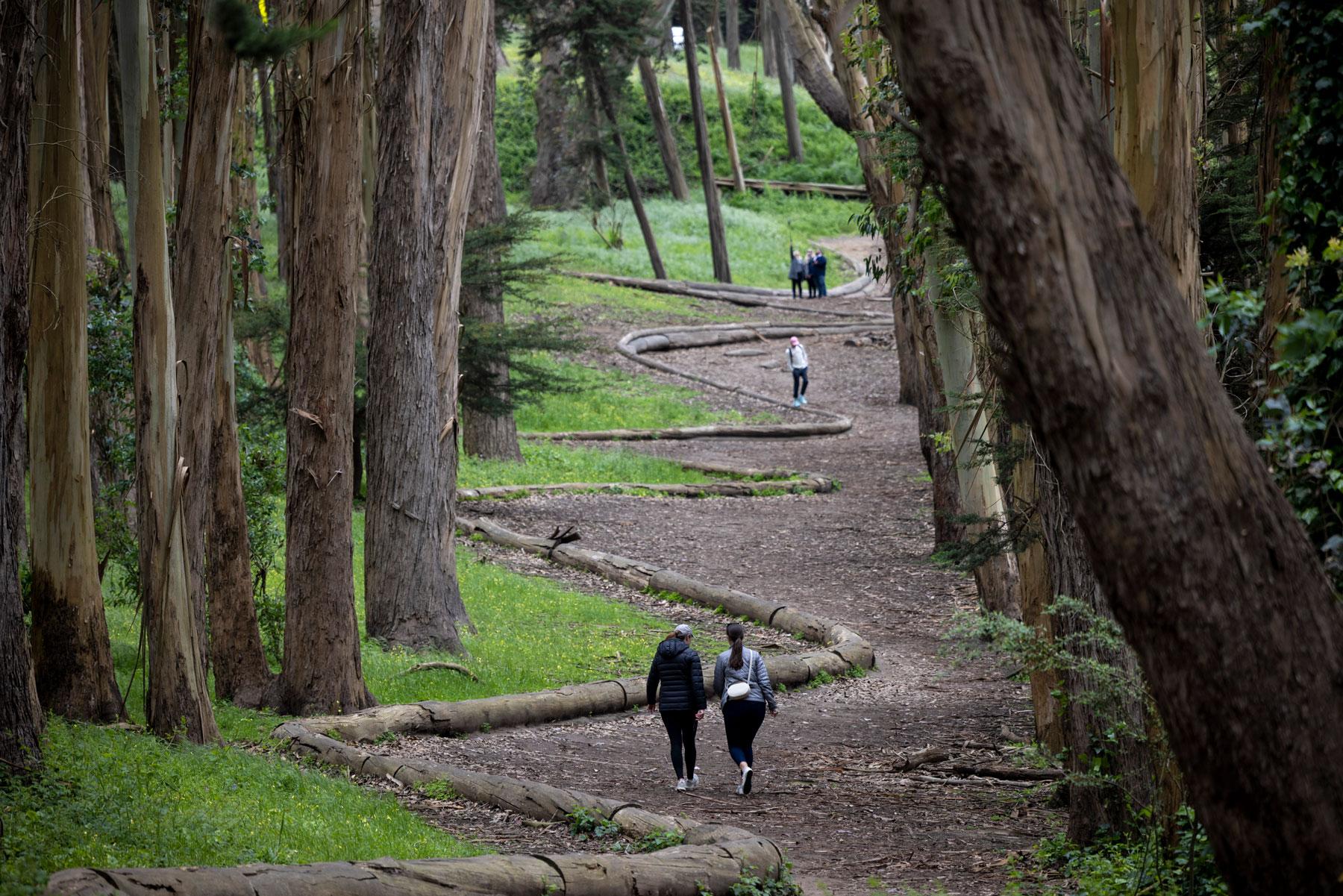 Three visitors walking around Andy Goldsworthy’s Wood Line art sculpture in the Presidio. Photo by Paul Myers.