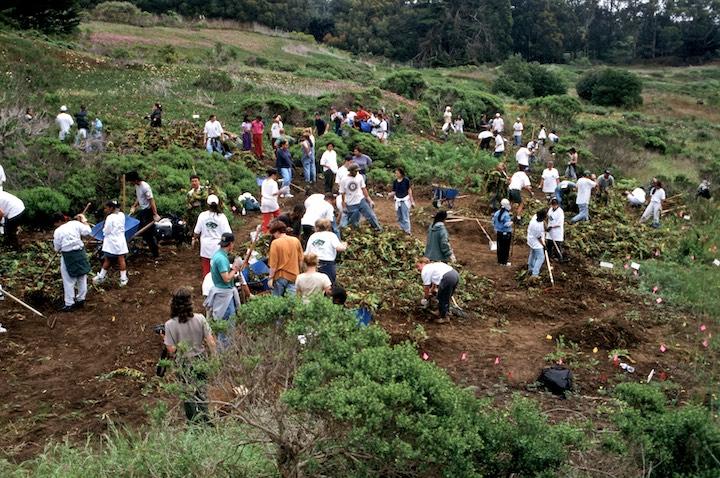 Volunteers removed invasive dune plants on Earth Day 1997.