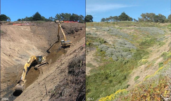 Landfill removal was followed by sand dune restoration.