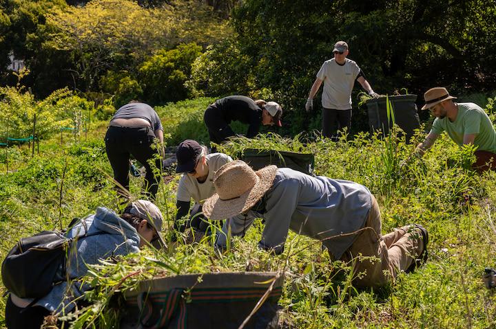 Group of volunteers working in a field.