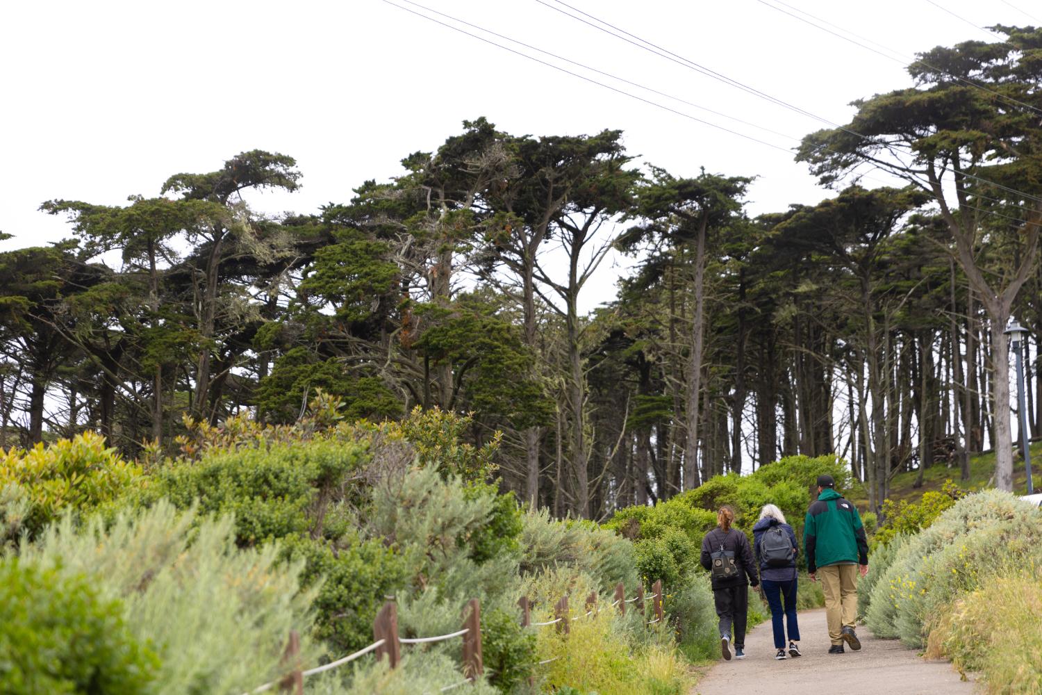 Three visitors walk along the boardwalk on the Lobos Creek Valley Trail.