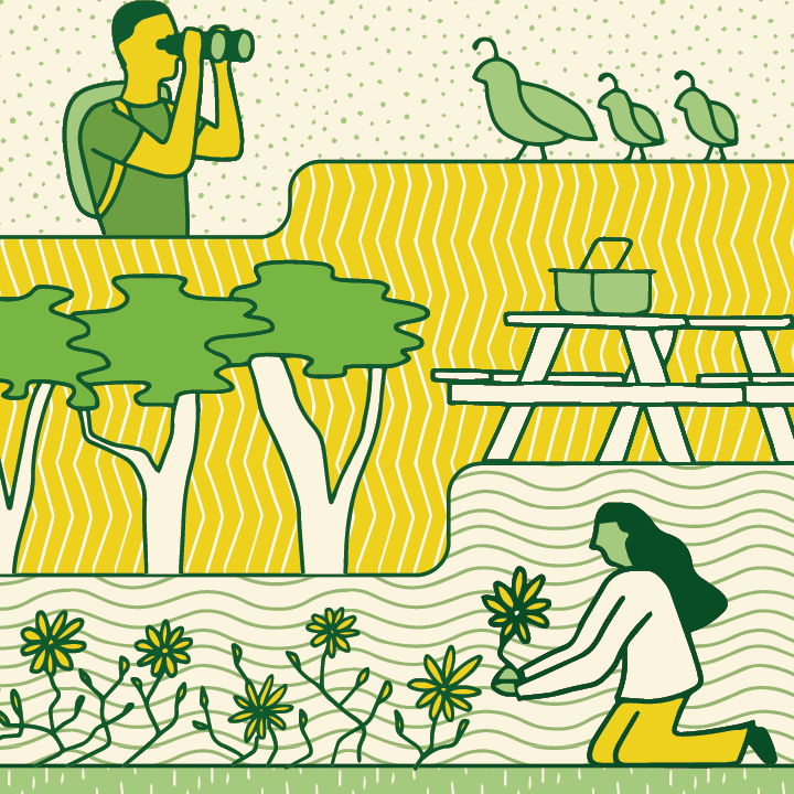 Yellow and Green illustrated icons for Restoring Green Spaces